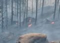 Graves incendios en Córdoba