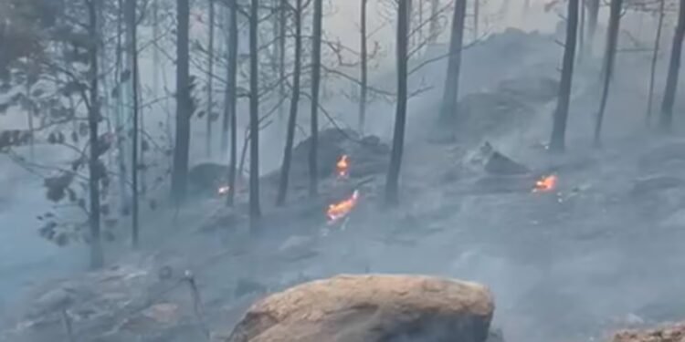 Graves incendios en Córdoba