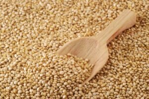 Cambios en el comercio de alimentos: la ANMAT establece nuevas reglas para importación y exportación