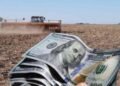 Incremento en la liquidación de divisas: agroexportadores aportaron 2.073 millones de dólares en enero