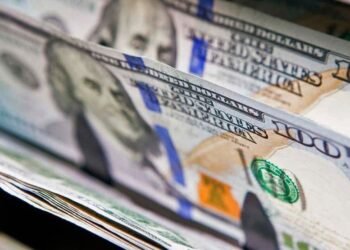 Qué puede pasar con el dólar en los próximos meses si se levanta el cepo o si continúa