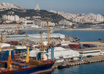 Argelia, el principal mercado para las exportaciones hacia África: un socio clave para el Mundial 2026