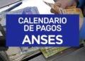 ANSES: interrupción en el calendario de pagos por el feriado del 9 de julio