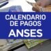 ANSES: interrupción en el calendario de pagos por el feriado del 9 de julio