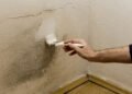 La pintura antihumedad: una solución temporal para combatir el moho en el hogar