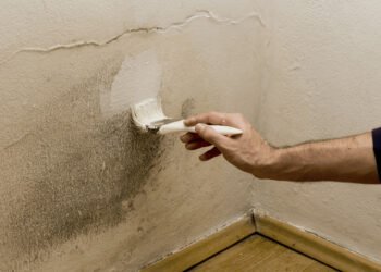La pintura antihumedad: una solución temporal para combatir el moho en el hogar