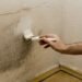 La pintura antihumedad: una solución temporal para combatir el moho en el hogar