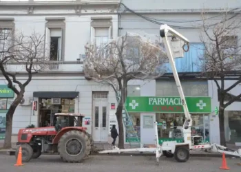 Rafaela enfrenta el auge poblacional de aves en su centro urbano con un plan de emergencia