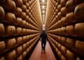 Los bancos de queso: un negocio de millones afectado por el calor extremo