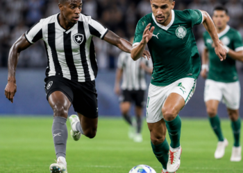 Empate sin goles entre Botafogo y Palmeiras en el Brasileirao