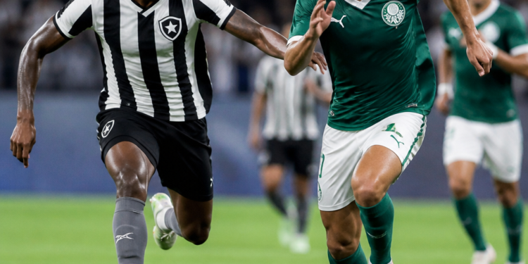 Empate sin goles entre Botafogo y Palmeiras en el Brasileirao