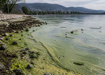 Córdoba: el lago San Roque alcanza el máximo grado de deterioro ambiental